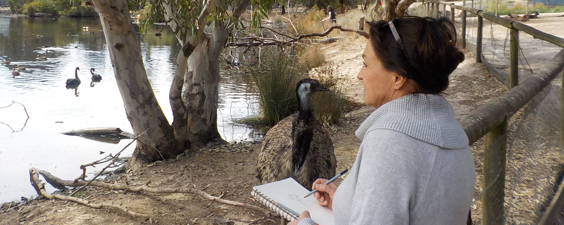 At Work with Emu Friends